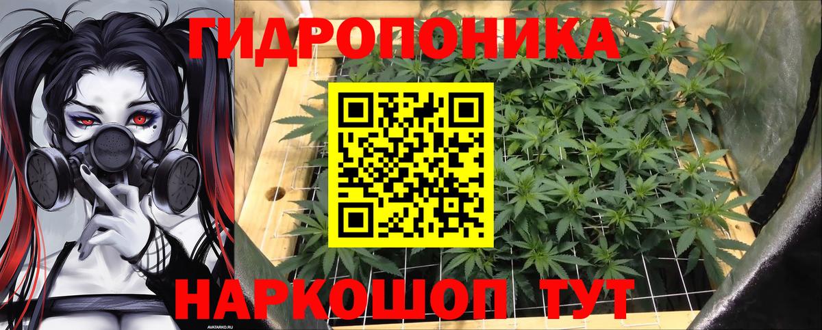 Шишки марихуана Amnesia  Вход с VPN  МАРИХУАНА гибрид  МАРИХУАНА Ganja  Конопля план  Медногорск 